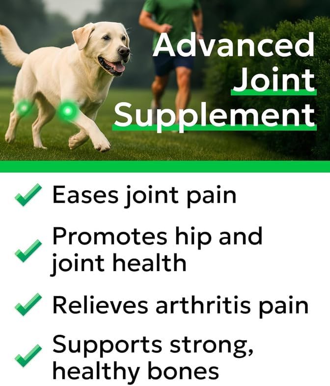 Glucosamine Chondroitin Dog Hip & Joint Supplement - Joint Pain Relief - Hip & Joint Chews for Dogs - Joint Support Large Breed - Senior Doggie Vitamin Pills Joint Health (240 Treats - Peanut Butter)