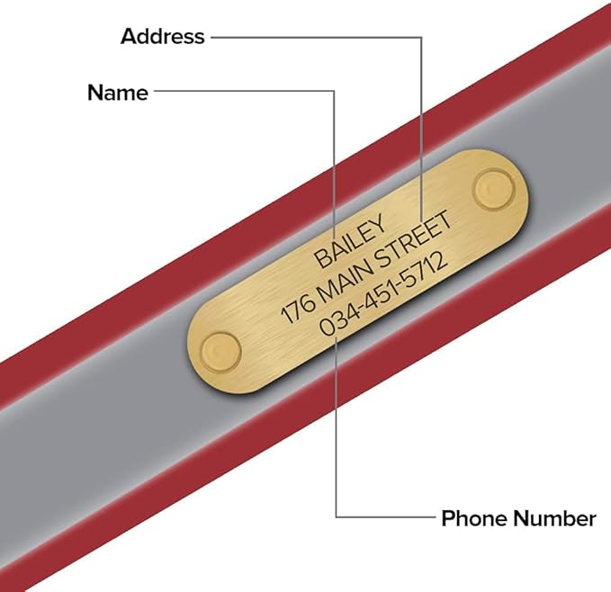 Regal Dog Products Medium Red Reflective Dog Collar with Custom Engraved Name Plate and Heavy Duty Center Ring | Waterproof Biothane Personalized Dog Collars - Other Sizes for Small & Large Dogs