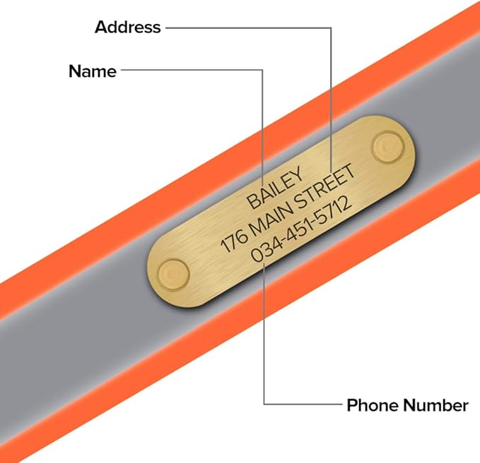 Regal Dog Products Large Orange with Custom Engraved Reflective Dog Collar and Leash Set | Waterproof Dog Collar with D Ring | Center Ring & 5'ft Leash | Matching Dog Collar and Leash for Dogs
