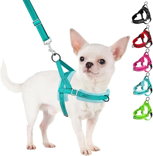 SlowTon No Pull Small Dog Harness and Leash Set, Puppy Soft Vest Harness Neck & Chest Adjustable, Reflective Lightweight Harness & Anti-Twist Pet Lead Combo for Small Medium Dogs(BL-Front Clip,XXS)
