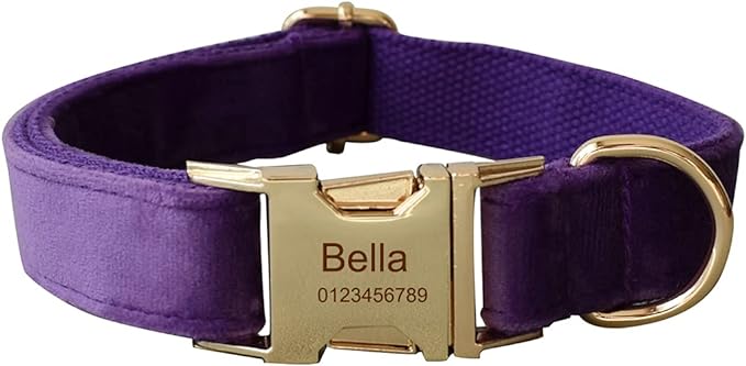 Dog Collar Custom Personalized Engraved Name and Phone Number for Puppy Small Medium Large Pets (S, Purple)
