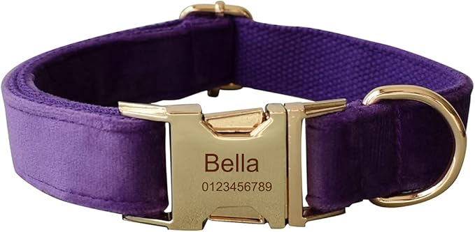 Dog Collar Custom Personalized Engraved Name and Phone Number for Puppy Small Medium Large Pets (M, Purple)