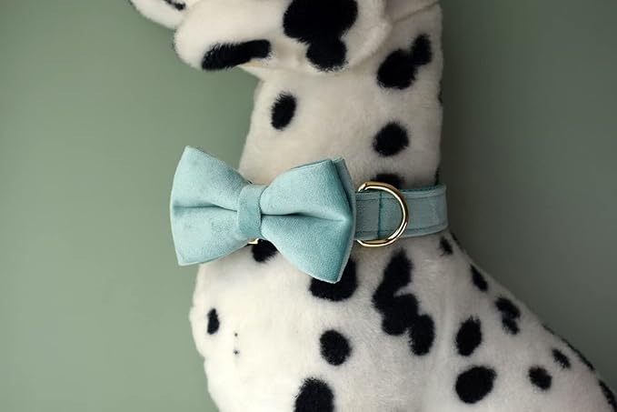 Custom Dog Collar with Metal Buckle - Pet Collars Personalized with Name and Phone Number (Velvet Style1)