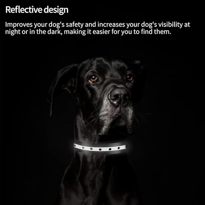 PetJoy Dog Collars Strap, Replacement Collar for Shock Reflective Collar, Adjustable Classic Dog Collar Strap for All Varieties Small Medium Large Dogs (Black & Red)