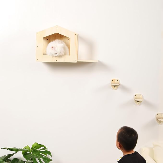 Cat Shelves with 3 Steps Scratching Post and Hammock Bed - Wall Mounted Climbing Condo for Indoor Cats (Wood)