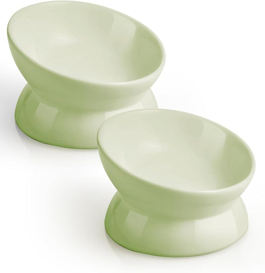 LoeJan Elevated Cat Food Bowl, 5 Oz Ceramic Raised and Tilted Water Bowl, Anti Vomiting and Protect Pets' Spines Dishes for Small Dog, Fat Faced Cat, Kitten (Green, 2 Pack)