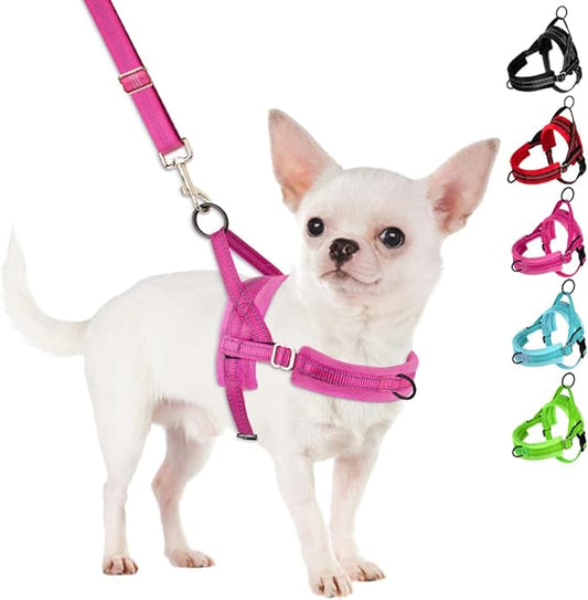 SlowTon No Pull Small Dog Harness and Leash Set, Puppy Soft Vest Harness Neck & Chest Adjustable, Reflective Lightweight Harness & Anti-Twist Pet Lead Combo for Small Medium Dogs (Fuchsia, S)
