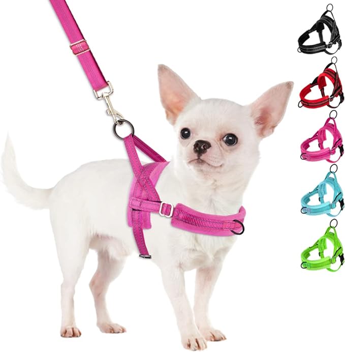 SlowTon No Pull Small Dog Harness and Leash Set, Puppy Soft Vest Harness Neck & Chest Adjustable, Reflective Lightweight Harness & Anti-Twist Pet Lead Combo for Small Medium Dogs(FU,L)