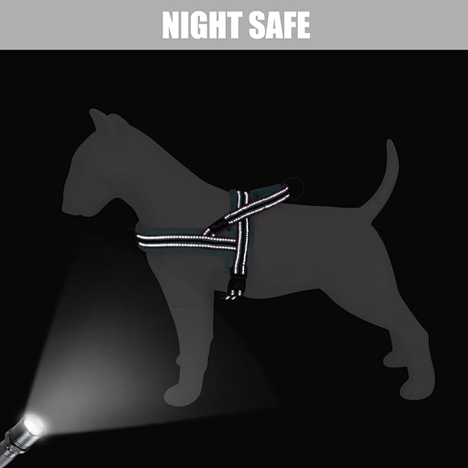 Didog Soft Flannel Padded Dog Vest Harness, No Pull/Quick Fit Reflective Dog Strap Harness, Easy for Training Walking (M:Chest 21-26", Mixed-Blue)