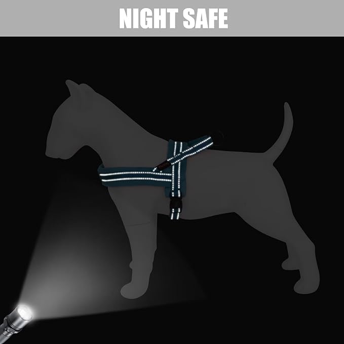 Didog Soft Flannel Padded Dog Vest Harness, No Pull/Quick Fit Reflective Dog Strap Harness, Easy for Training Walking (XS:Chest 15-18", Blue)