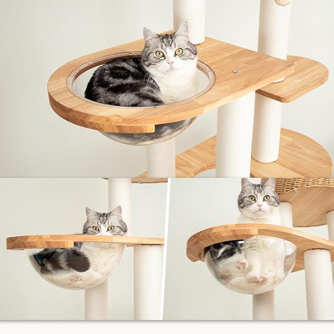 Wood Cat Tree for Large Cat, 60-Inch Tall Cat Tower with Scratching Post for Indoor Cats, Multi-Level Cat Condo with Hand-Woven Cat Bed and Acrylic Bowl Easy to Clean (Brown-81004S)