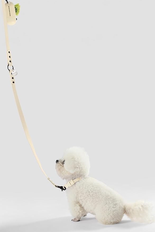 WLK1004L-5SET Luna Small 8FT Adjustable 6-in-1 Waterproof Hands-Free Leash and Collar with LED Flashlight, Bag Dispenser, and Poop Bag Holder, Bailey