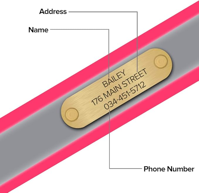 Regal Dog Products Small Pink with Custom Engraved Reflective Dog Collar and Leash Set | Waterproof Dog Collar with D Ring | Center Ring & 5'ft Leash | Matching Dog Collar and Leash for Dogs