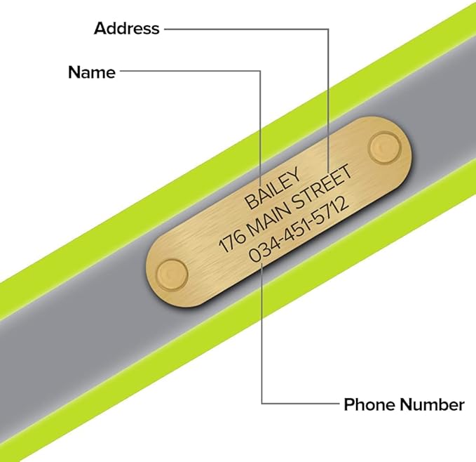 Regal Dog Products Small Yellow Reflective Dog Collar with Custom Engraved Name Plate and Heavy Duty Center Ring | Waterproof Biothane Personalized Dog Collars - Other Sizes for Medium & Large Dogs