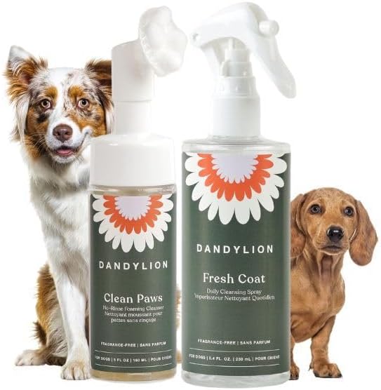 Dandylion Daily Grooming Kit - Clean Paws + Fresh Coat Bundle – No‑Rinse Paw Cleaner & Waterless Coat Spray