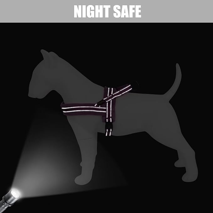 Didog Soft Flannel Padded Dog Vest Harness, No Pull/Quick Fit Reflective Dog Strap Harness, Easy for Training Walking (M:Chest 21-26", Purple)