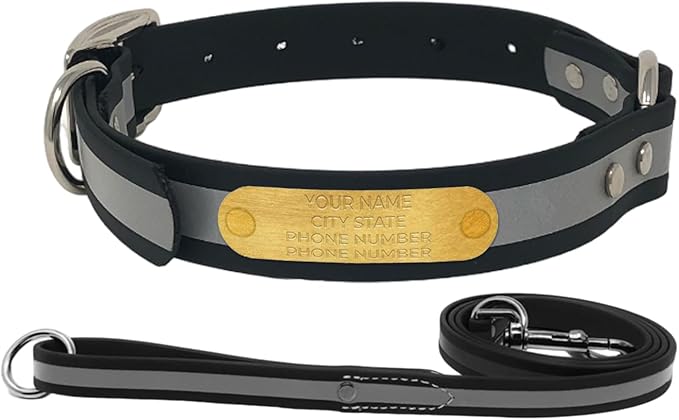 Regal Dog Products Large Black with Custom Engraved Reflective Dog Collar and Leash Set | Waterproof Dog Collar with D Ring | Center Ring & 5'ft Leash | Matching Dog Collar and Leash for Dogs