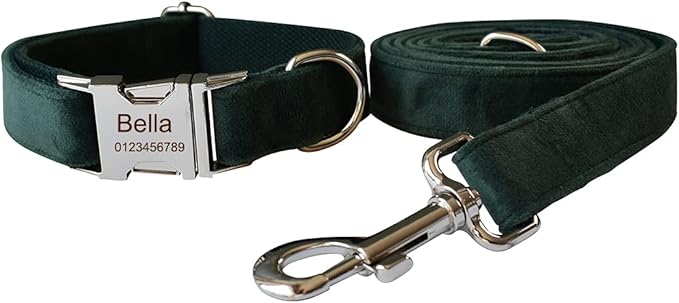 Dog Collar Custom Personalized Engraved Name and Phone Number for Puppy Small Medium Large Pets (S, Green)