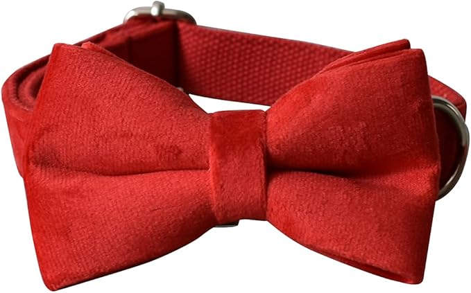 Dog Collar Custom Personalized Engraved Name and Phone Number for Puppy Small Medium Large Pets (S, Red)