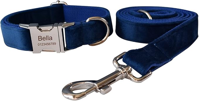 Dog Collar Custom Personalized Engraved Name and Phone Number for Puppy Small Medium Large Pets (M, Blue)