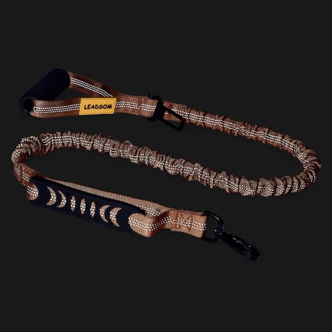6FT Highly Reflective Heavy Duty Elastic Bungee Medium and Large Dog Leash Shock Absorbing with Comfortable Padded Handle and Traffic Handle Suitable for Training