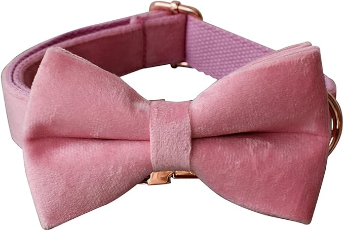 Dog Collar Custom Personalized Engraved Name and Phone Number for Puppy Small Medium Large Pets (XL, Pink)