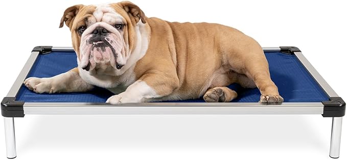 K9 Ballistics Chew Proof Elevated Cooling Outdoor Cot Bed for Small Dogs & Puppies - Virtually Indestructible, Preassembled, Withstands Aggressive Chewers - S, Ripstop Blue Quartz