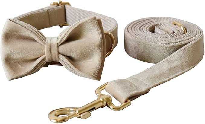 Dog Collar Custom Personalized Engraved Name and Phone Number for Puppy Small Medium Large Pets (M, Nude)