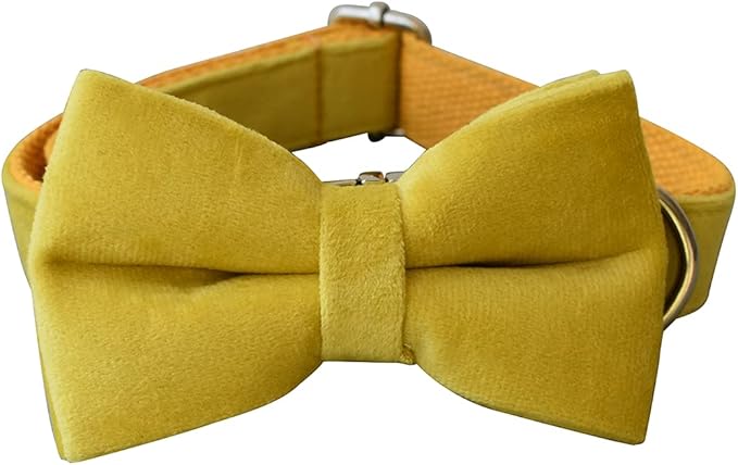 Dog Collar Custom Personalized Engraved Name and Phone Number for Puppy Small Medium Large Pets (XL, Yellow)