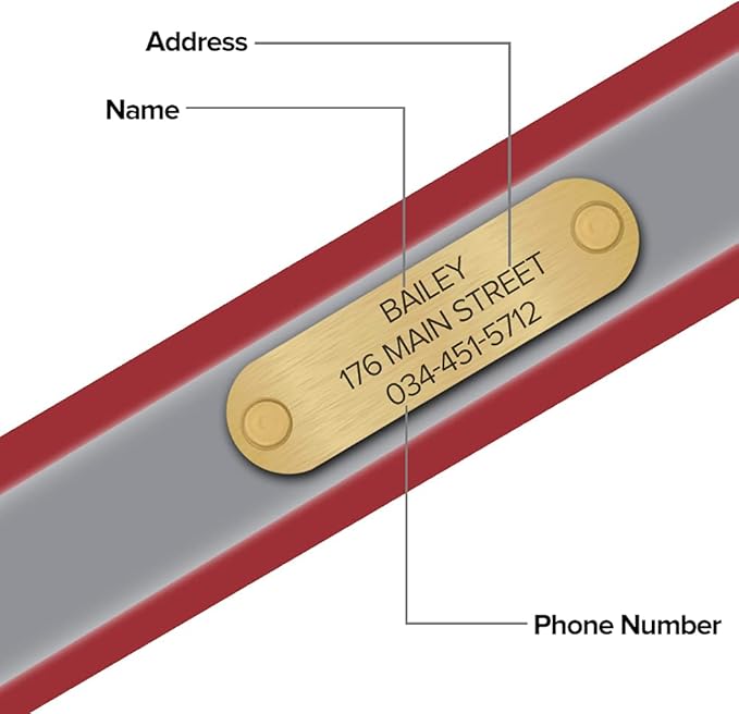 Regal Dog Products Large Red with Custom Engraved Reflective Dog Collar and Leash Set | Waterproof Dog Collar with D Ring | Center Ring & 5'ft Leash | Matching Dog Collar and Leash for Dogs