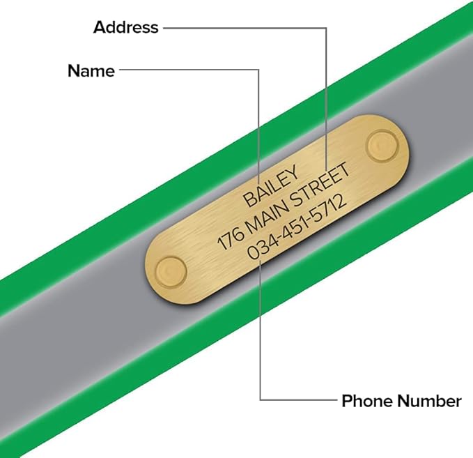 Regal Dog Products Medium Green Reflective Dog Collar with Custom Engraved Name Plate and Heavy Duty Center Ring | Waterproof Biothane Personalized Dog Collars - Other Sizes for Small & Large Dogs