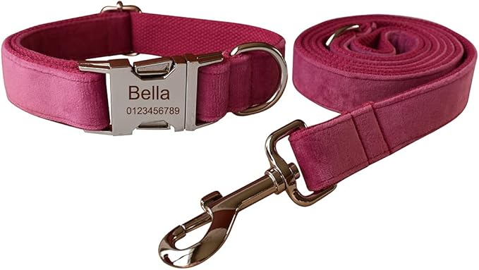 Dog Collar Custom Personalized Engraved Name and Phone Number for Puppy Small Medium Large Pets (M, Rose)