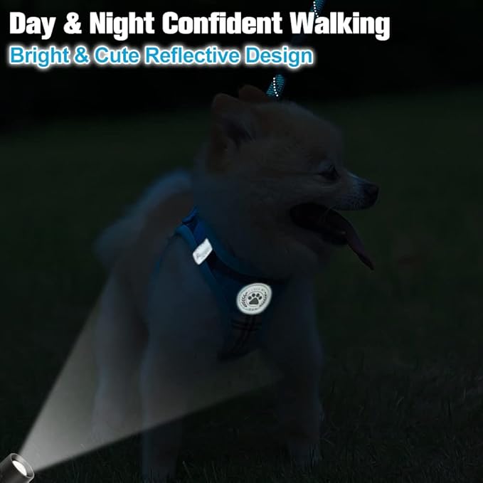 BEAUTYZOO Small Dog Harness and Leash Set,Step in No Choke No Pull Soft Mesh Dog Harnesses Reflective for Extra-Small/Small Medium Puppy Dogs and Cats, Plaid Dog Vest Harness for XS S Pets, Blue XXS