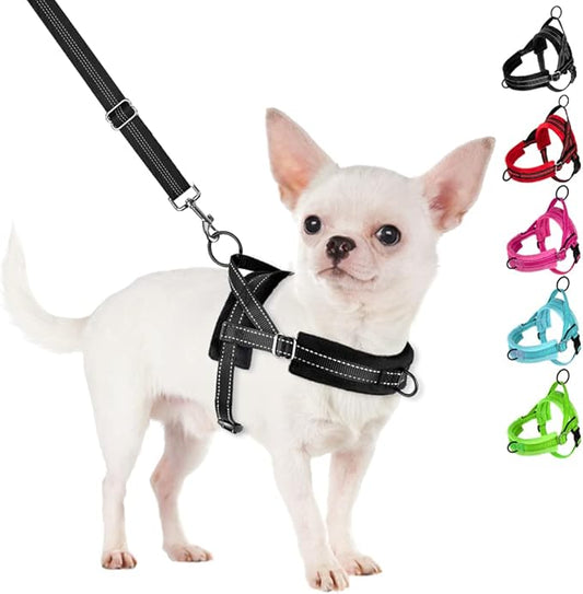 SlowTon No Pull Small Dog Harness and Leash Set, Puppy Soft Vest Harness Neck & Chest Adjustable, Reflective Lightweight Harness & Anti-Twist Pet Lead Combo for Small Medium Dogs (Black, XS)