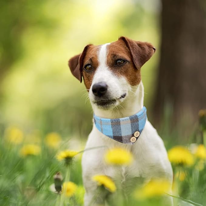 BINGPET Bow Tie Dog Collar and Leash Set,Cute Adjustable Classic Plaid Dog Bandana Collar with Bell, Fit for Small Dogs, Puppies and Cats Outdoor Walking