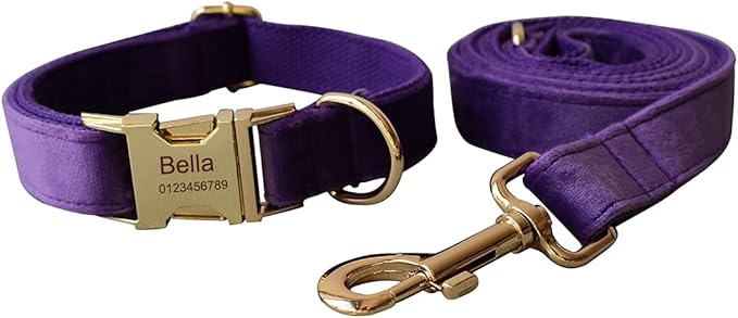 Dog Collar Custom Personalized Engraved Name and Phone Number for Puppy Small Medium Large Pets (M, Purple)