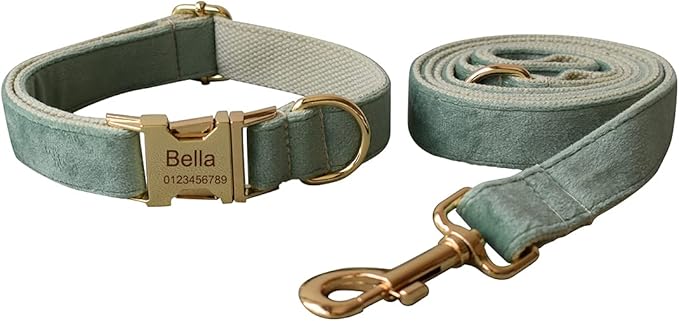 Dog Collar Custom Personalized Engraved Name and Phone Number for Puppy Small Medium Large Pets (XL, Fruit Green)