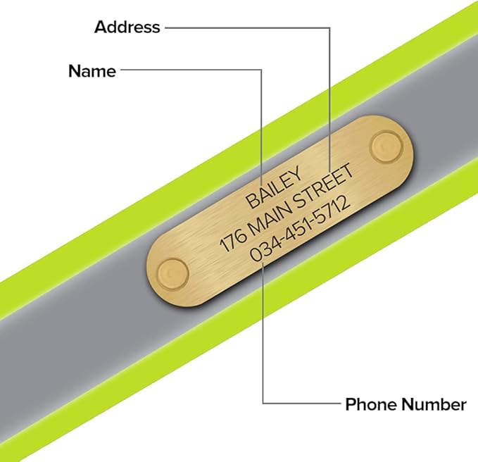 Regal Dog Products Small Yellow with Custom Engraved Reflective Dog Collar and Leash Set | Waterproof Dog Collar with D Ring | Center Ring & 5'ft Leash | Matching Dog Collar and Leash for Dogs