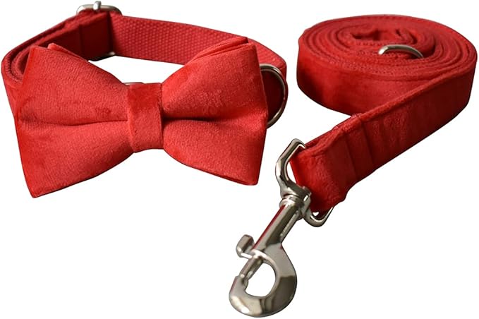 Dog Collar Custom Personalized Engraved Name and Phone Number for Puppy Small Medium Large Pets (S, Red)