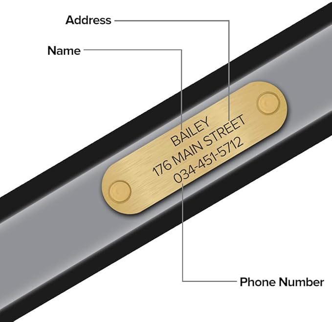 Regal Dog Products Medium Black Reflective Dog Collar with Custom Engraved Name Plate and Heavy Duty Center Ring | Waterproof Biothane Personalized Dog Collars - Other Sizes for Small & Large Dogs