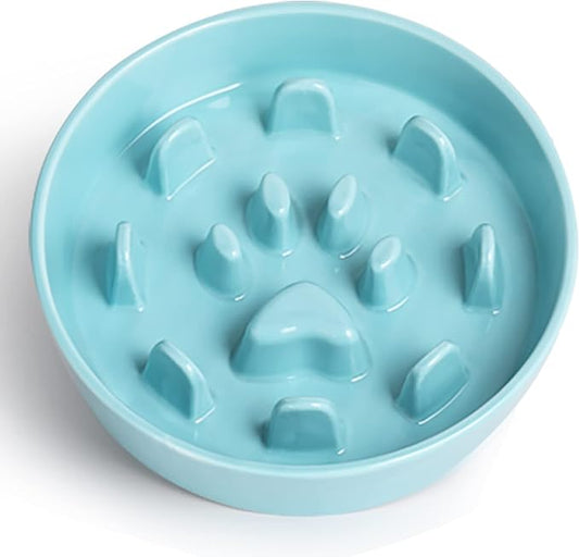 HAOTOP Ceramic Fun Slow Feeder Bowl, Porcelain Slow Eater Bowl for Medium Sized Dogs (Turquoise)