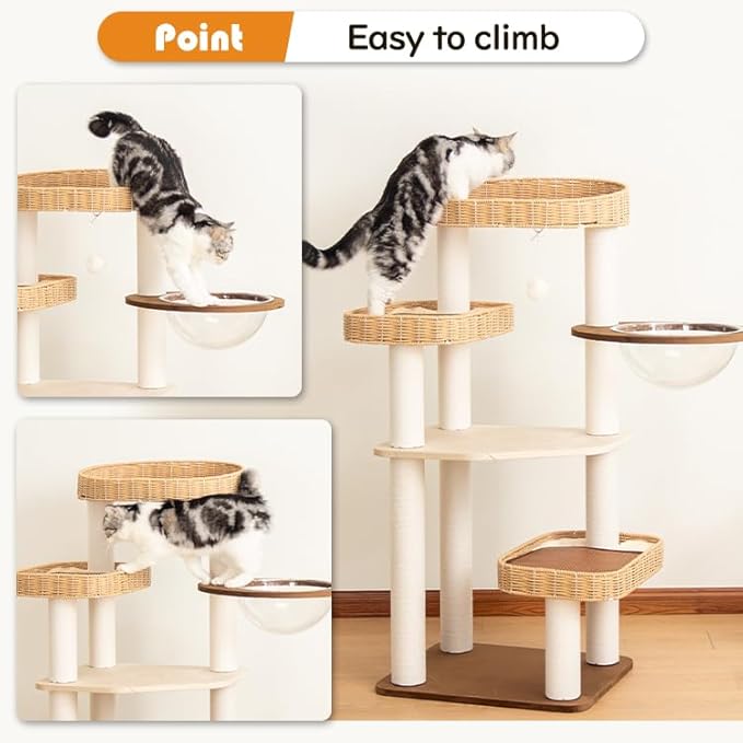 48'' Natural Wood Cat Tree with Rattan Beds & Clear Acrylic Bowl, Multi-Level Cat Tower for Indoor Cats, Modern Wooden Cat Condo with Scratch Posts (Dark Brown)