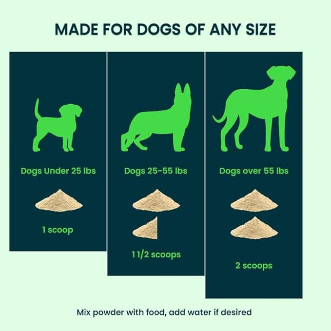 Advanced Probiotics for Dogs | Dog Probiotic for Digestive Health | Gut Supplement & Dog Probiotics | 45 Scoops