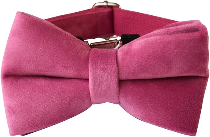 Dog Collar Custom Personalized Engraved Name and Phone Number for Puppy Small Medium Large Pets (M, Rose)