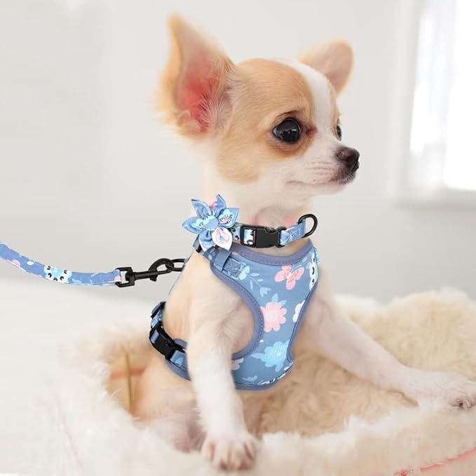 Beirui Cute Girl Dog Collars, Harnesses & Leashes Set - Adjustable Dog Collar and Leash Set with Flower - Soft Mesh Dog Vest Harness for Puppies Small & Extra Small Dogs Cats (Purple,XXS)
