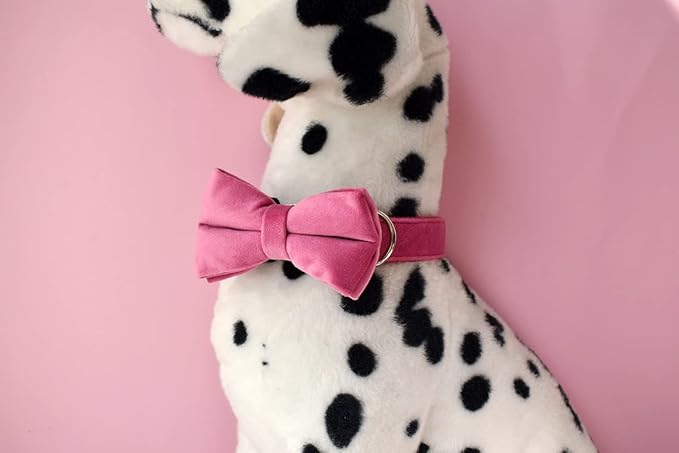 Custom Dog Collar with Metal Buckle - Pet Collars Personalized with Name and Phone Number (Velvet Style2)