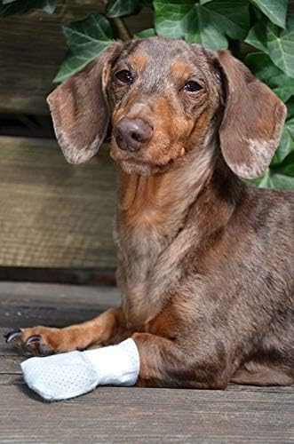 Medimitt Paw Bandages for Dogs, Cats and Pets – Stretchy Medical Booties, First Aid for Paws – Non Slip, Non Adhesive, Breathable, Disposable, Washable, Adjustable Strap, Value Pack (X-Small 12-Pack)