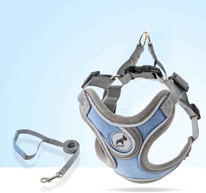 Dog Harness with Leash Set, No Pull Adjustable Step in Dog Collars Harness with Breathable Padded Vest for Small Medium Large Training and Running(XS, Blue)