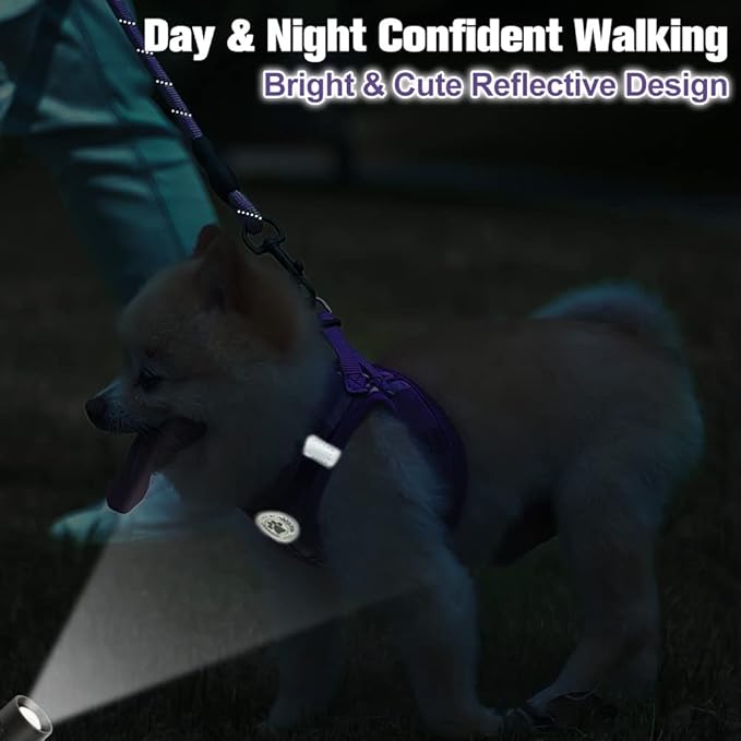BEAUTYZOO Small Dog Harness and Leash Set,Step in No Choke No Pull Soft Mesh Dog Harnesses Reflective for Extra-Small Medium Puppy Dogs and Cats, Plaid Dog Vest Harness for XS S Pets, Purple S