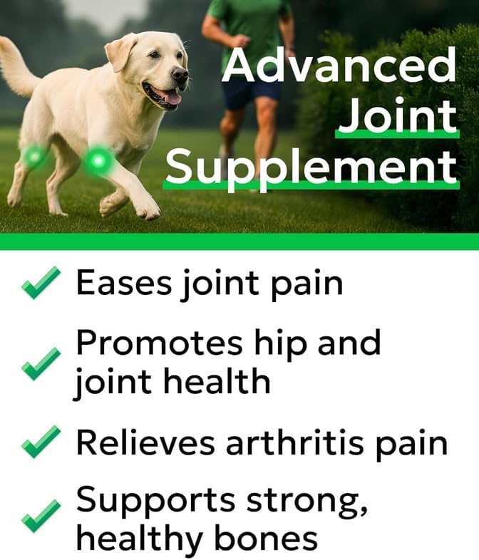 BARK&SPARK Glucosamine Chondroitin Dog Hip & Joint Supplement - Joint Pain Relief - Hip & Joint Chews - Joint Support Large Small Breed - Senior Doggie Vitamin Pill Joint Health (180 Treats - Bacon)